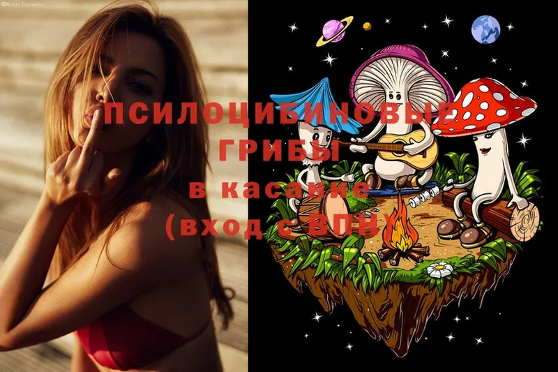 Галлюциногенные грибы MAGIC MUSHROOMS Княгинино